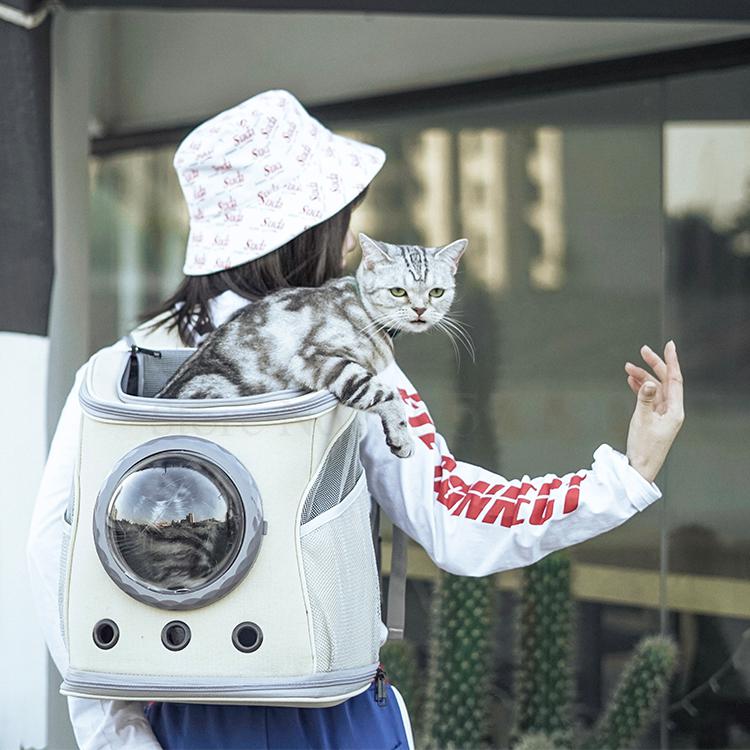 Transportador para mascotas