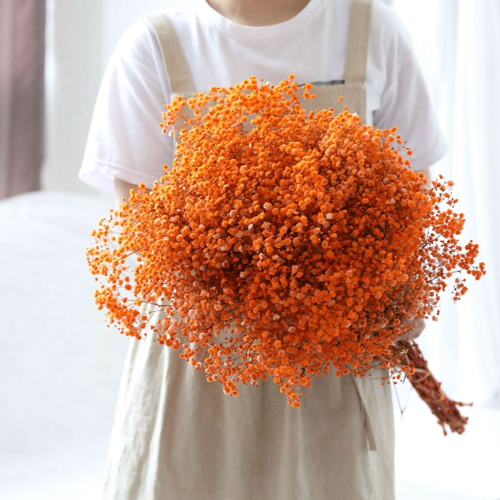 Kalsten | Ramo de Flores de Gypsophila Secas y Conservadas – Decoración Natural