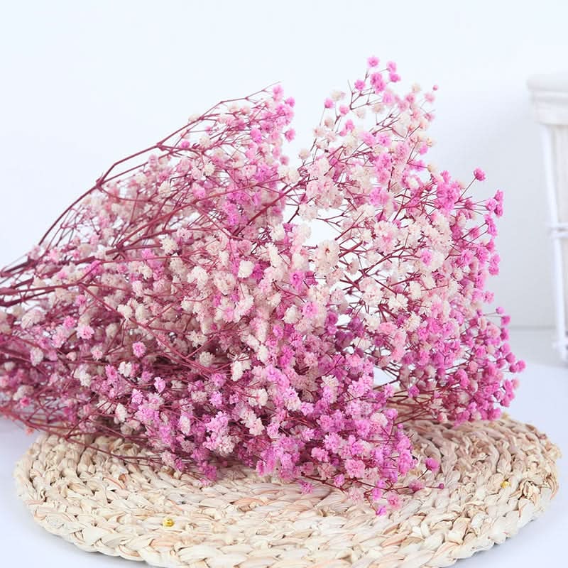 Kalsten | Ramo de Flores de Gypsophila Secas y Conservadas – Decoración Natural