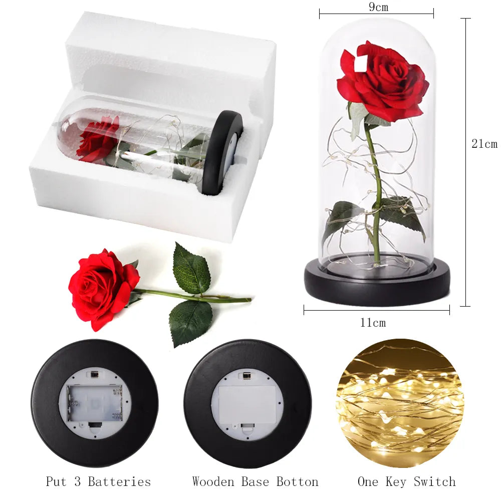 Carvallo – Rosa Eterna en Campana de Vidrio con Iluminación LED Atmosférica