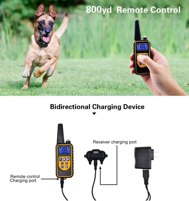 Collar E-eléctrico para Entrenamiento de Perros – Seguro, control remoto efectivo