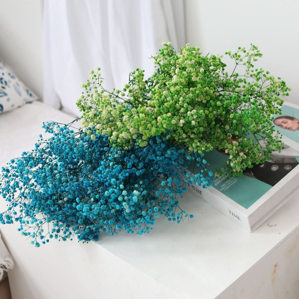 Kalsten | Ramo de Flores de Gypsophila Secas y Conservadas – Decoración Natural