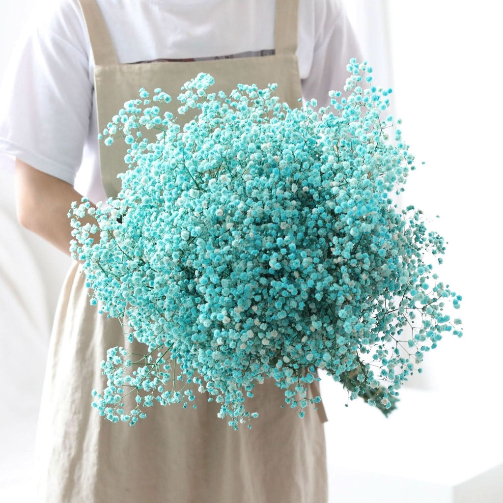 Kalsten | Ramo de Flores de Gypsophila Secas y Conservadas – Decoración Natural