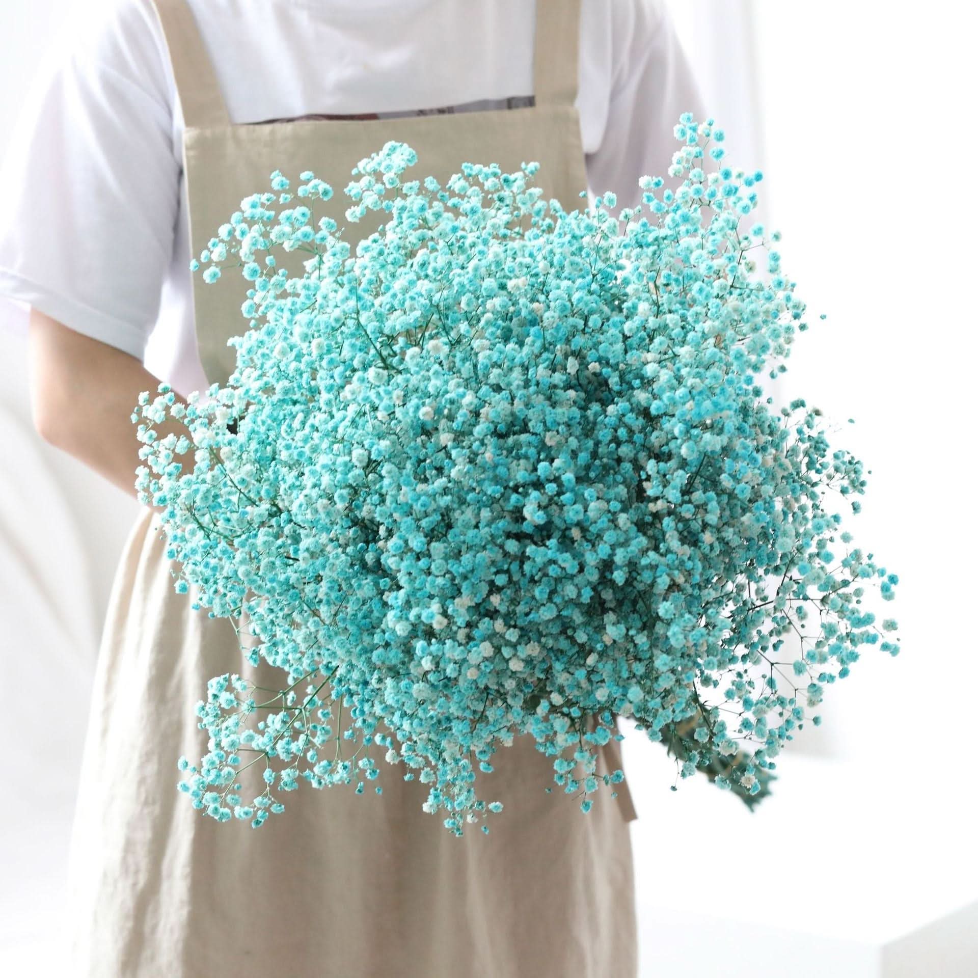 Kalsten | Ramo de Flores de Gypsophila Secas y Conservadas – Decoración Natural
