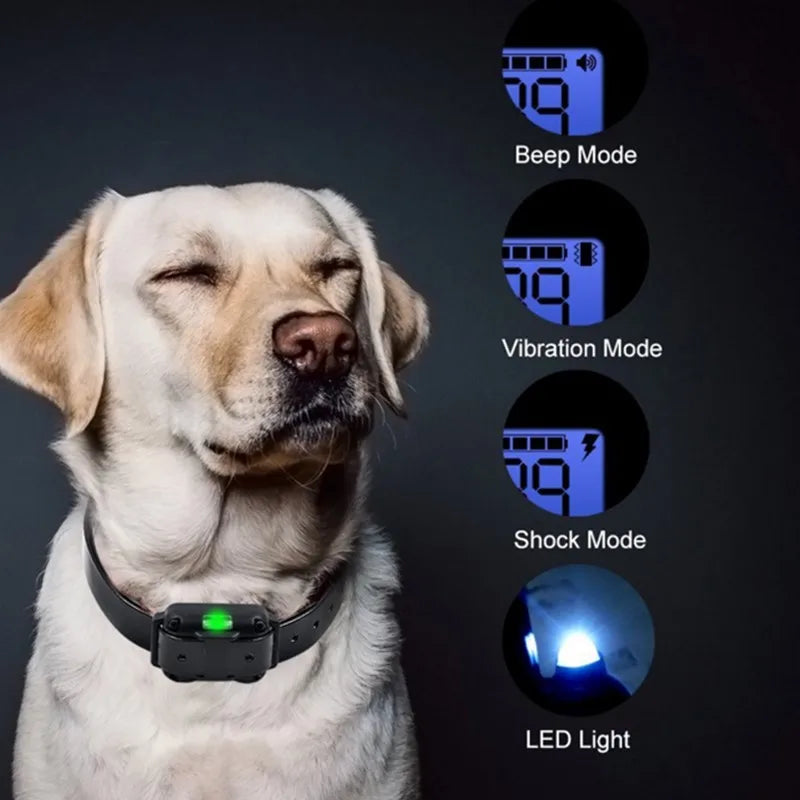 Collar E-eléctrico para Entrenamiento de Perros – Seguro, control remoto efectivo