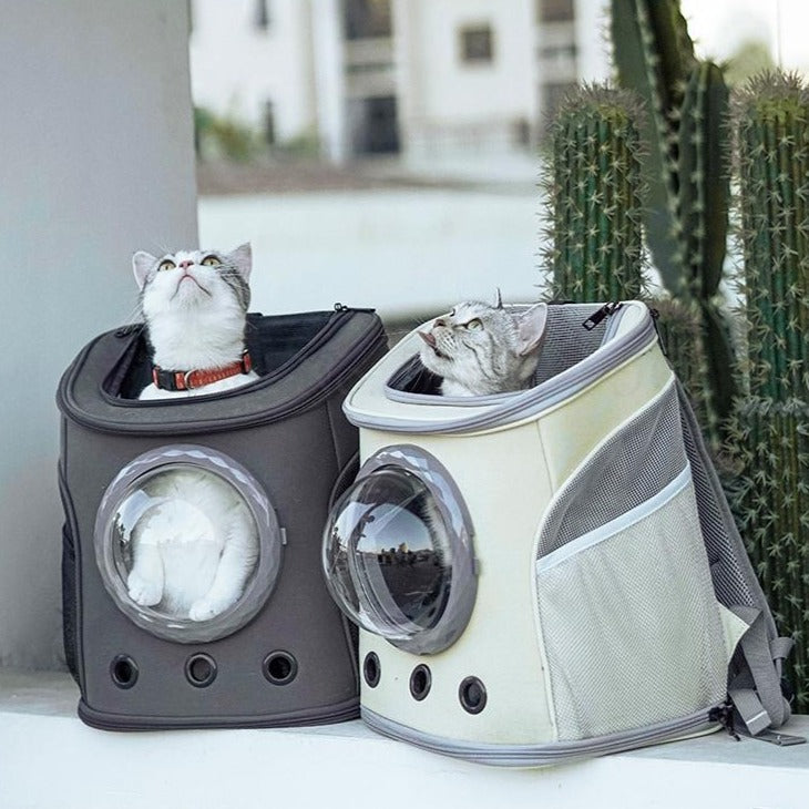 Transportador para mascotas