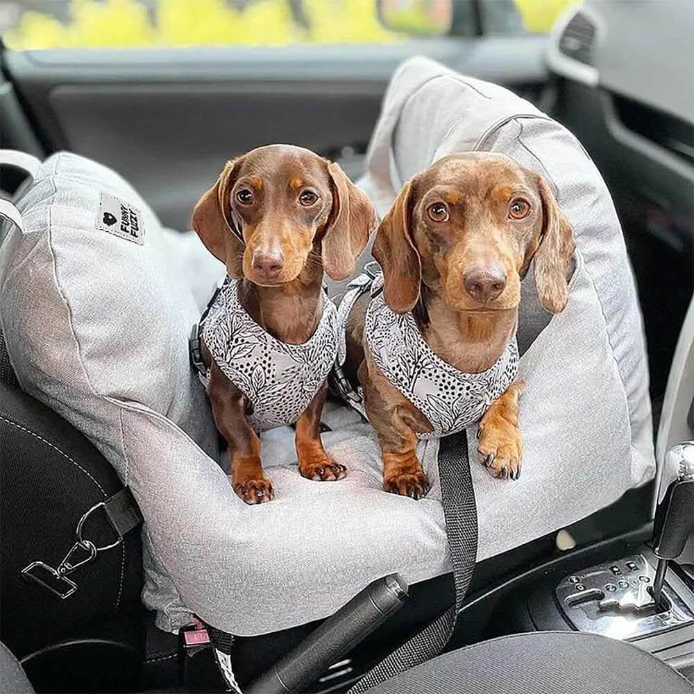 COMFYRIDE DOG SEAT – Cama de asiento para perros con cinturón de seguridad y base antideslizante