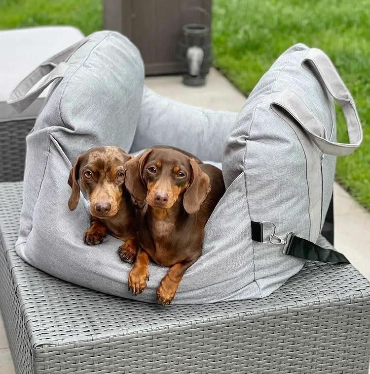 COMFYRIDE DOG SEAT – Cama de asiento para perros con cinturón de seguridad y base antideslizante