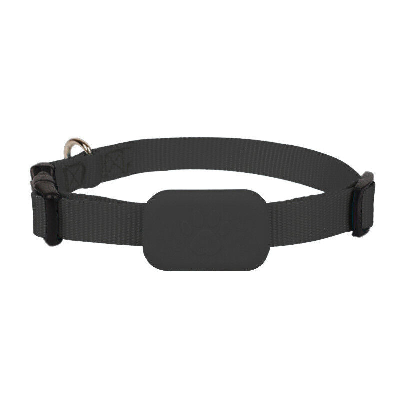 Localizador GPS para Perros y Gatos - Collar con localizador GPS
