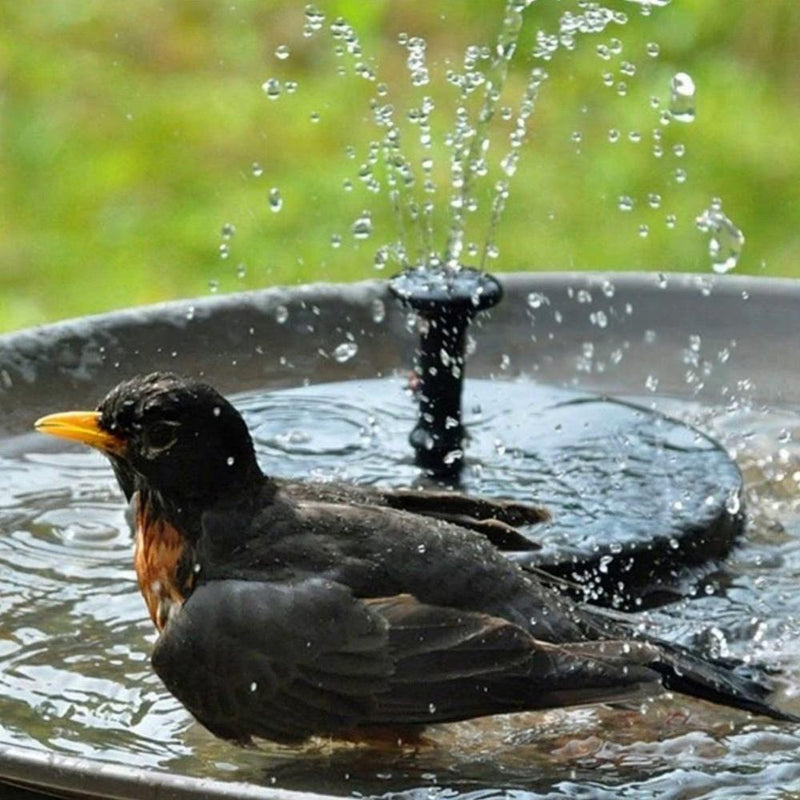 Bomba de Fuente Solar WaterSoft – Para estanque, baño de aves o decoración de jardín