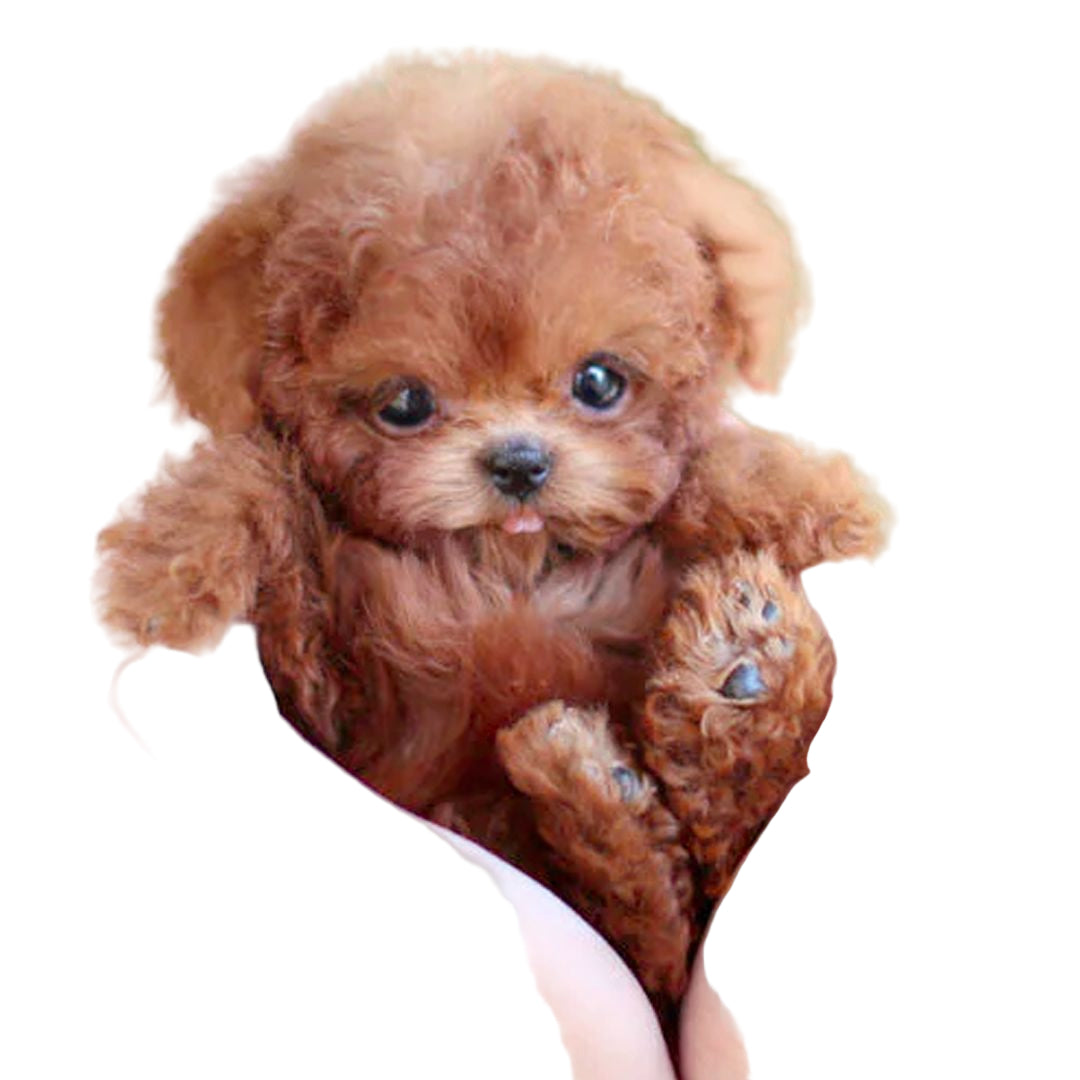 Perro de peluche interactivo – diseño realista con funciones de movimiento – ideal para enseñar a cuidar a los niños