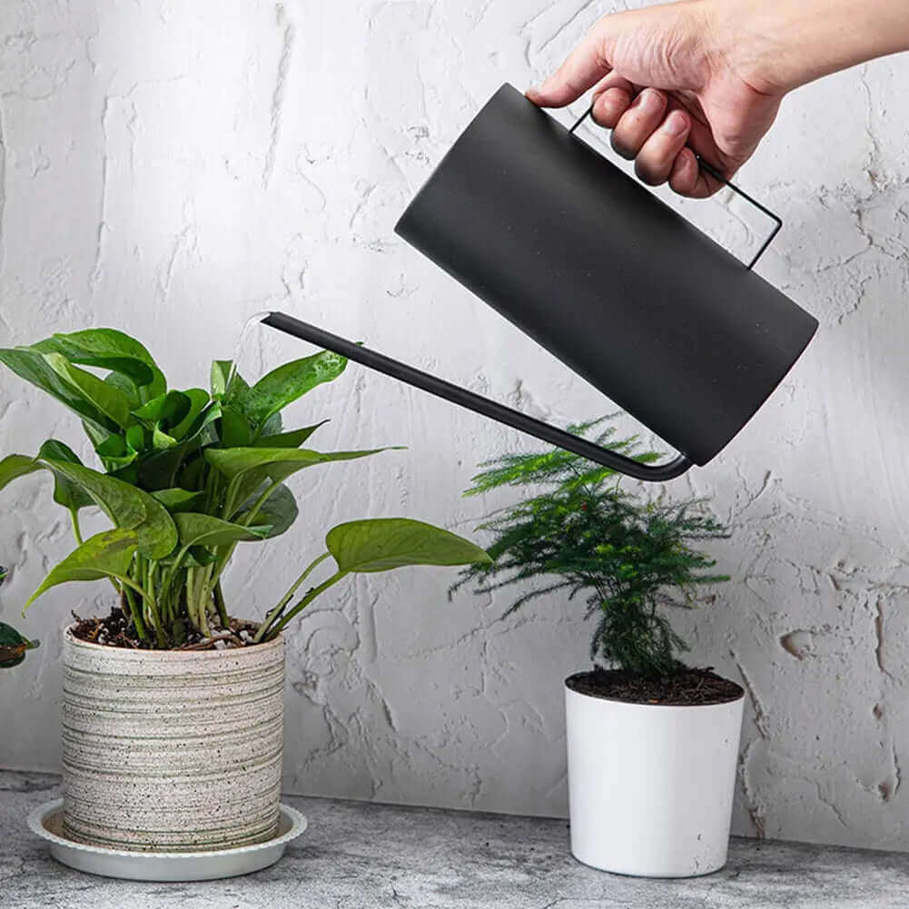 Regadera Bonsai Japonesa de 1.5L