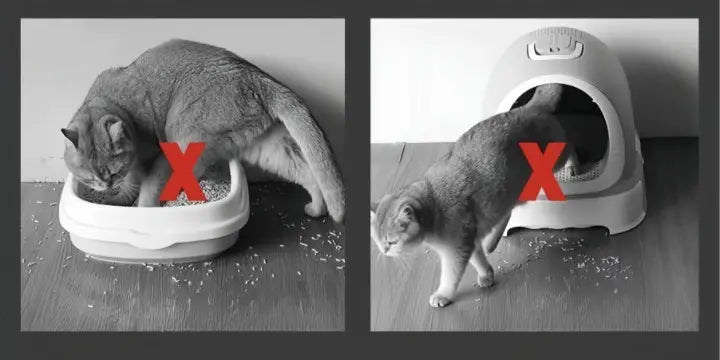 Kalsten | Alfombrilla para arena de gato – ¡Mantén tus pisos limpios y sin arena!