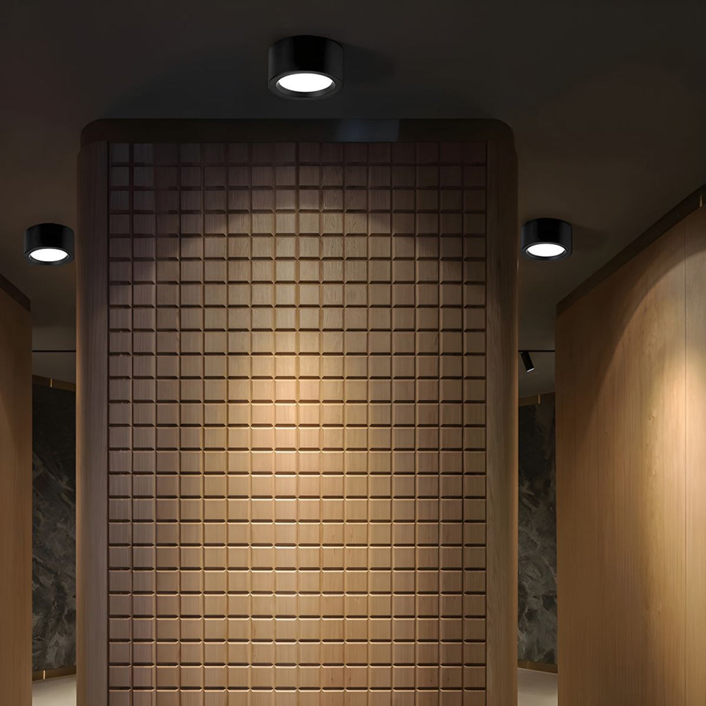 Lámpara de Techo LED Compacta Luffon Montada en Superficie Redonda
