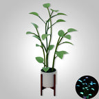 Skorter | Flor Luminosa | Planta LED Mágica