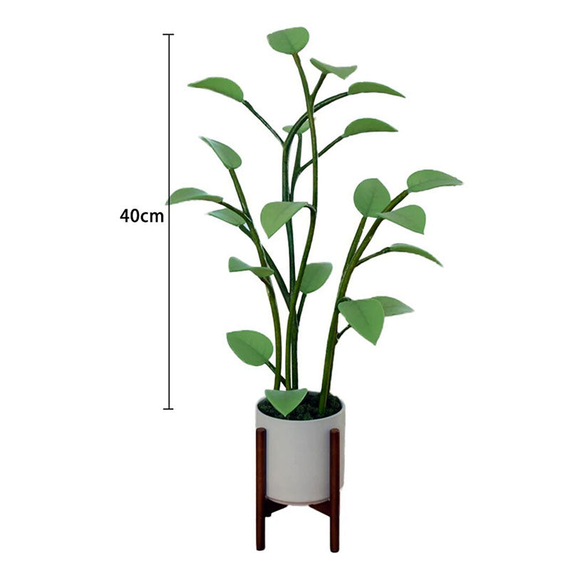 Skorter | Flor Luminosa | Planta LED Mágica