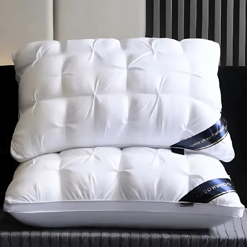DREAMFEATHER – Oreiller en duvet d'oie de luxe pour un sommeil réparateur