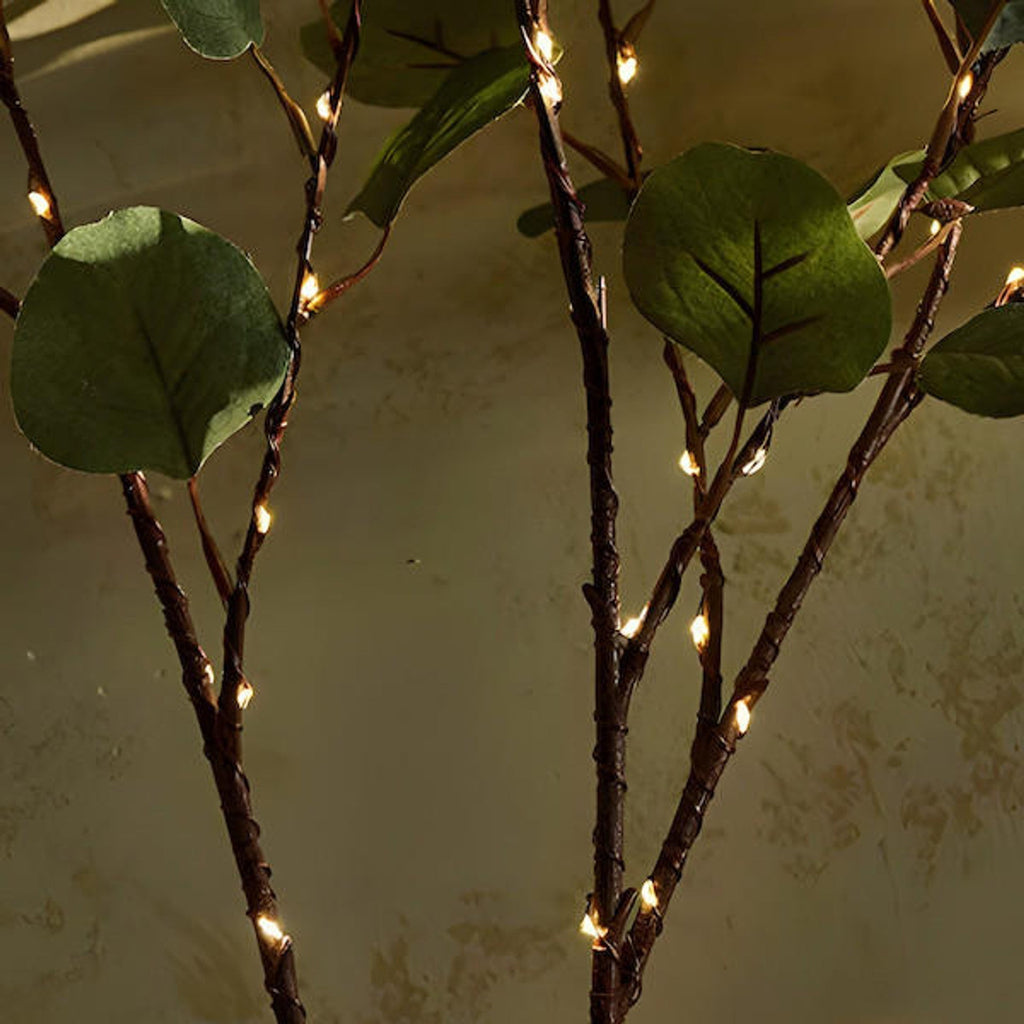 Rama de olivo con luces LED | Luz natural y ambiental
