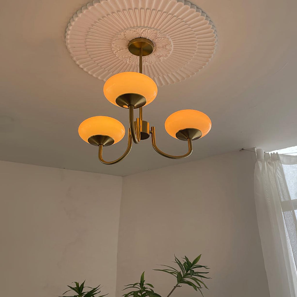Candelabro | Malvavisco