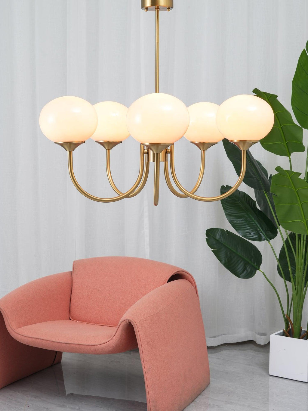 Candelabro | Malvavisco