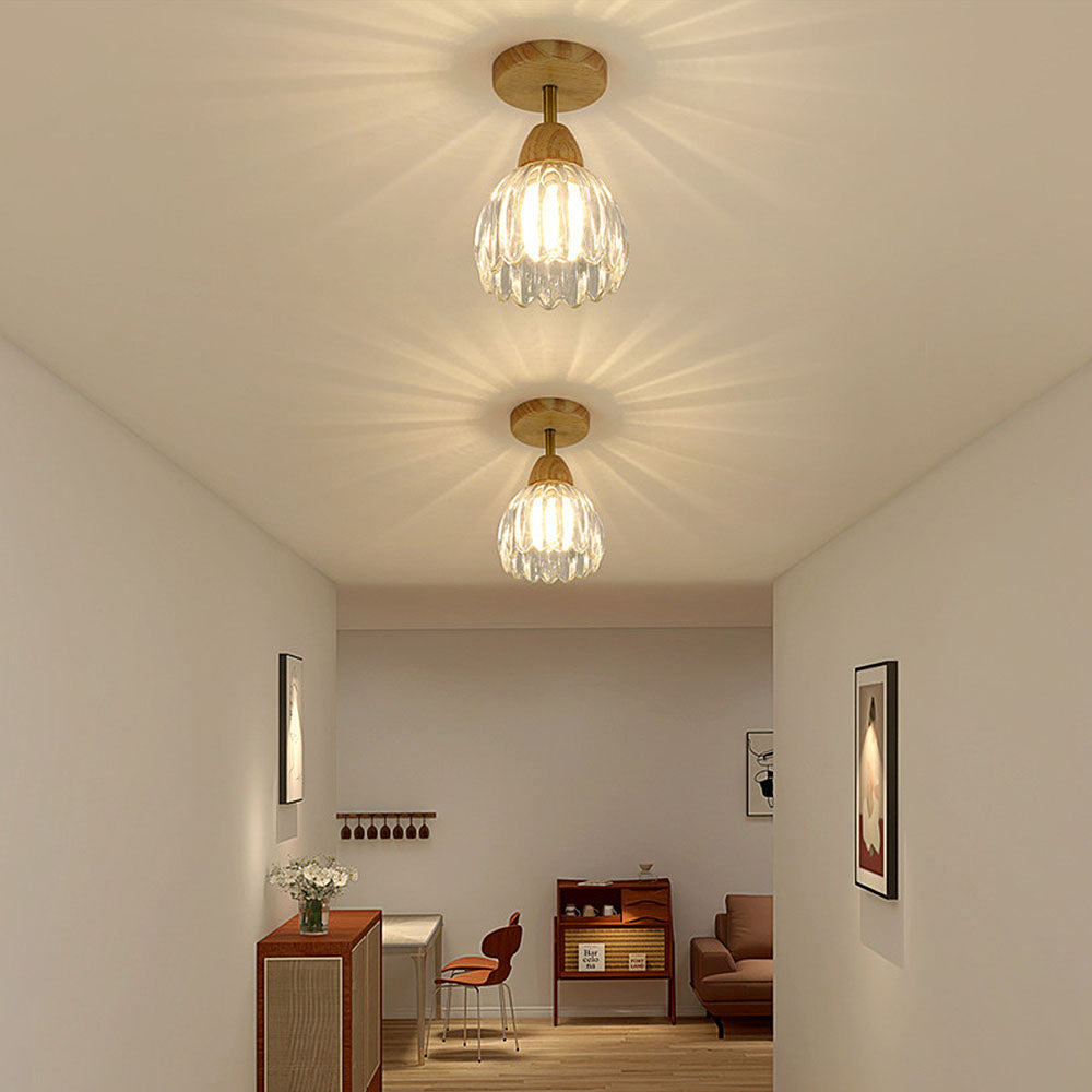 Moderna Luz de Techo y Pared de Vidrio para Comedor o Pasillo