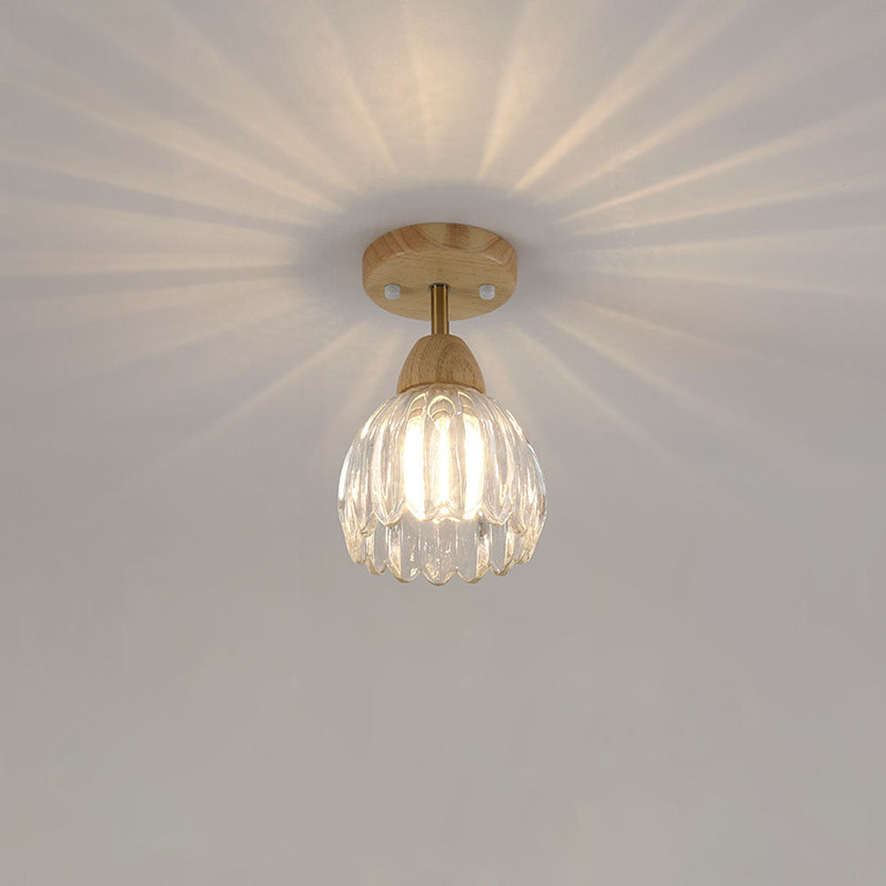 Moderna Luz de Techo y Pared de Vidrio para Comedor o Pasillo