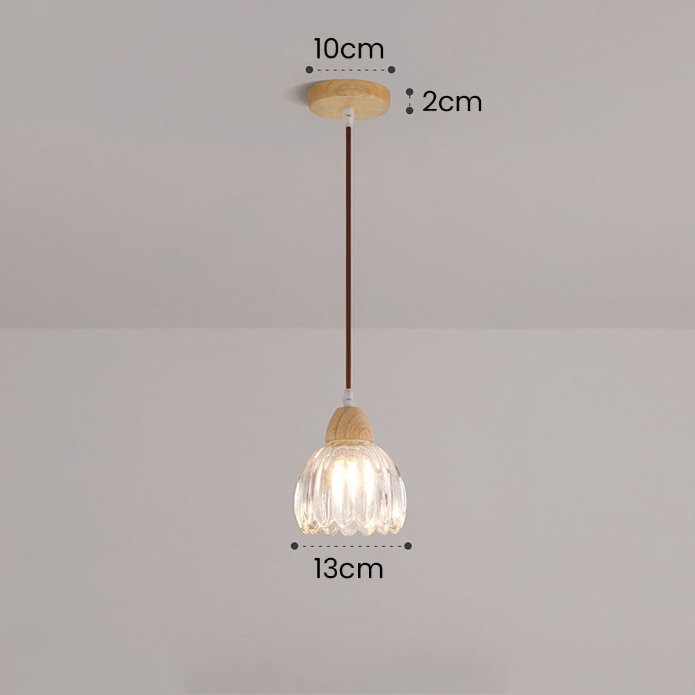Moderna Luz de Techo y Pared de Vidrio para Comedor o Pasillo