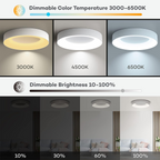 Luz de Techo LED Moderna de Montaje Empotrado - Diseño Minimalista y Energéticamente Eficiente