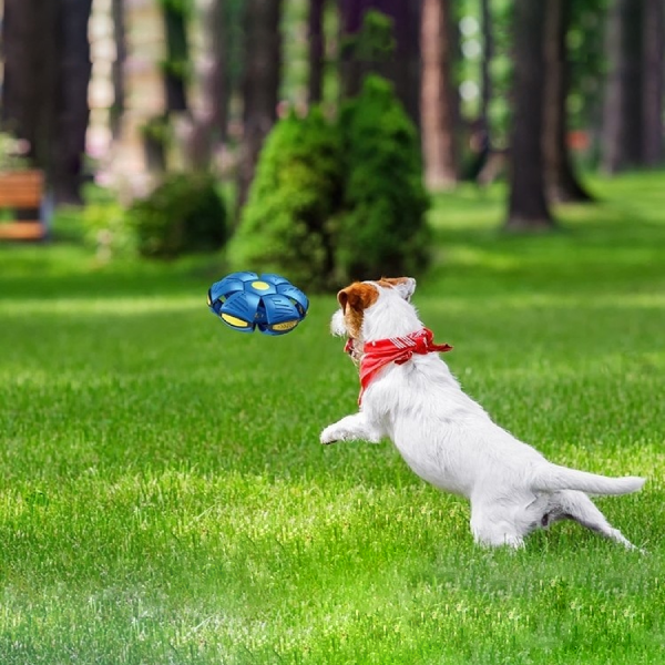 DiscBall - UFO Platillo Volador Pelota | 50% DESCUENTO