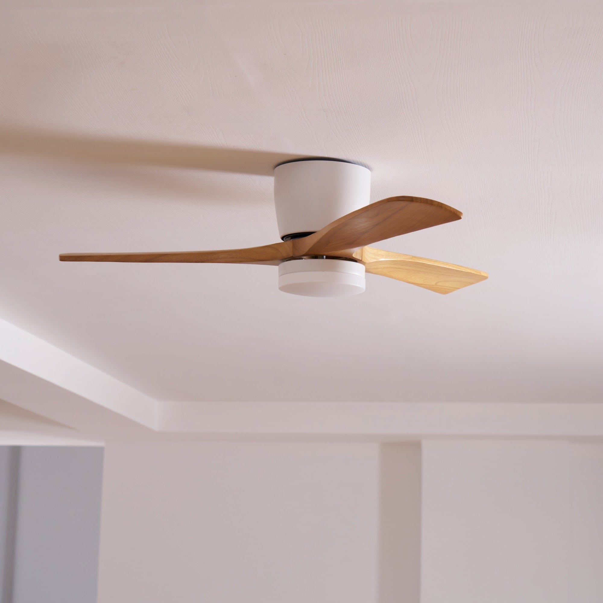 Ventilador de techo nórdico con iluminación LED y control remoto