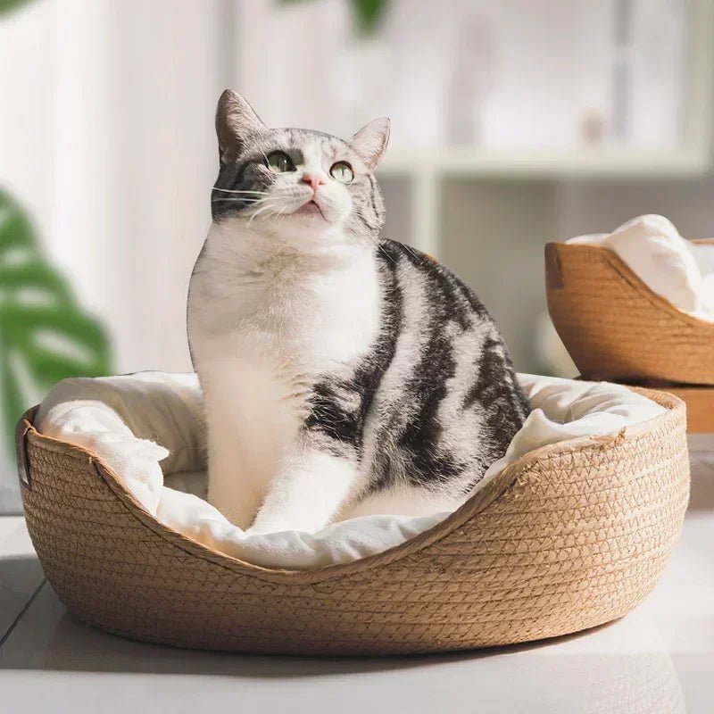 Sofá para gatos ecológico con diseño de algodón transpirable
