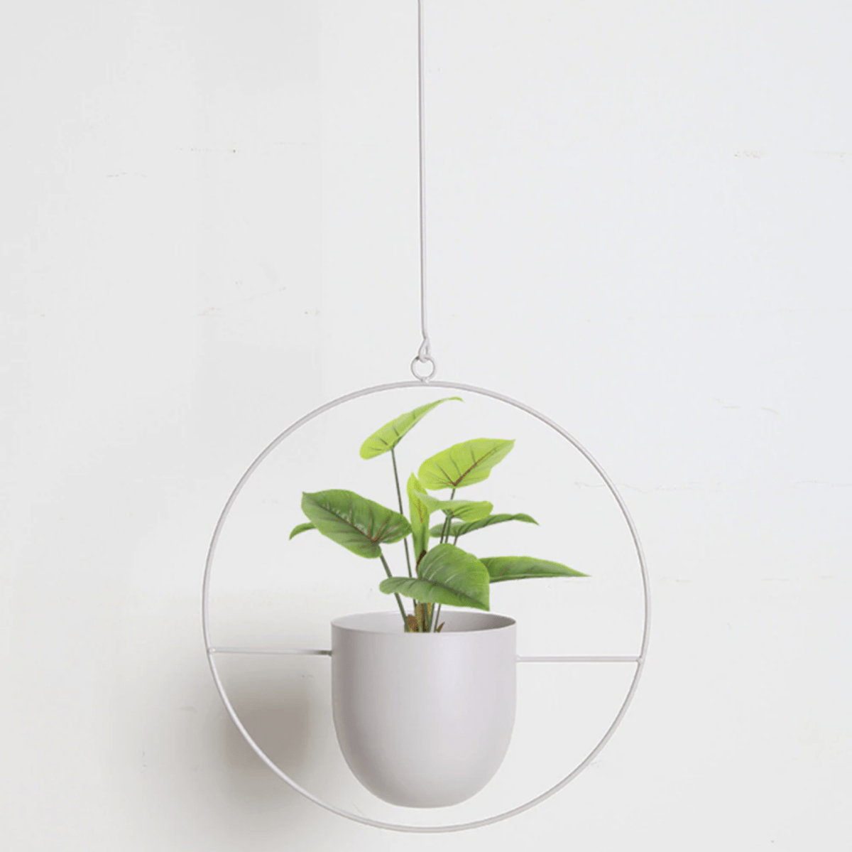 VERTILINE – Colgador de plantas de pared minimalista con cadena ajustable para un interior elegante y claro