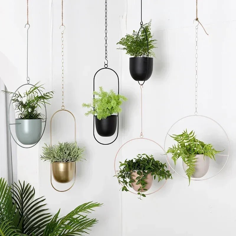 VERTILINE – Colgador de plantas de pared minimalista con cadena ajustable para un interior elegante y claro