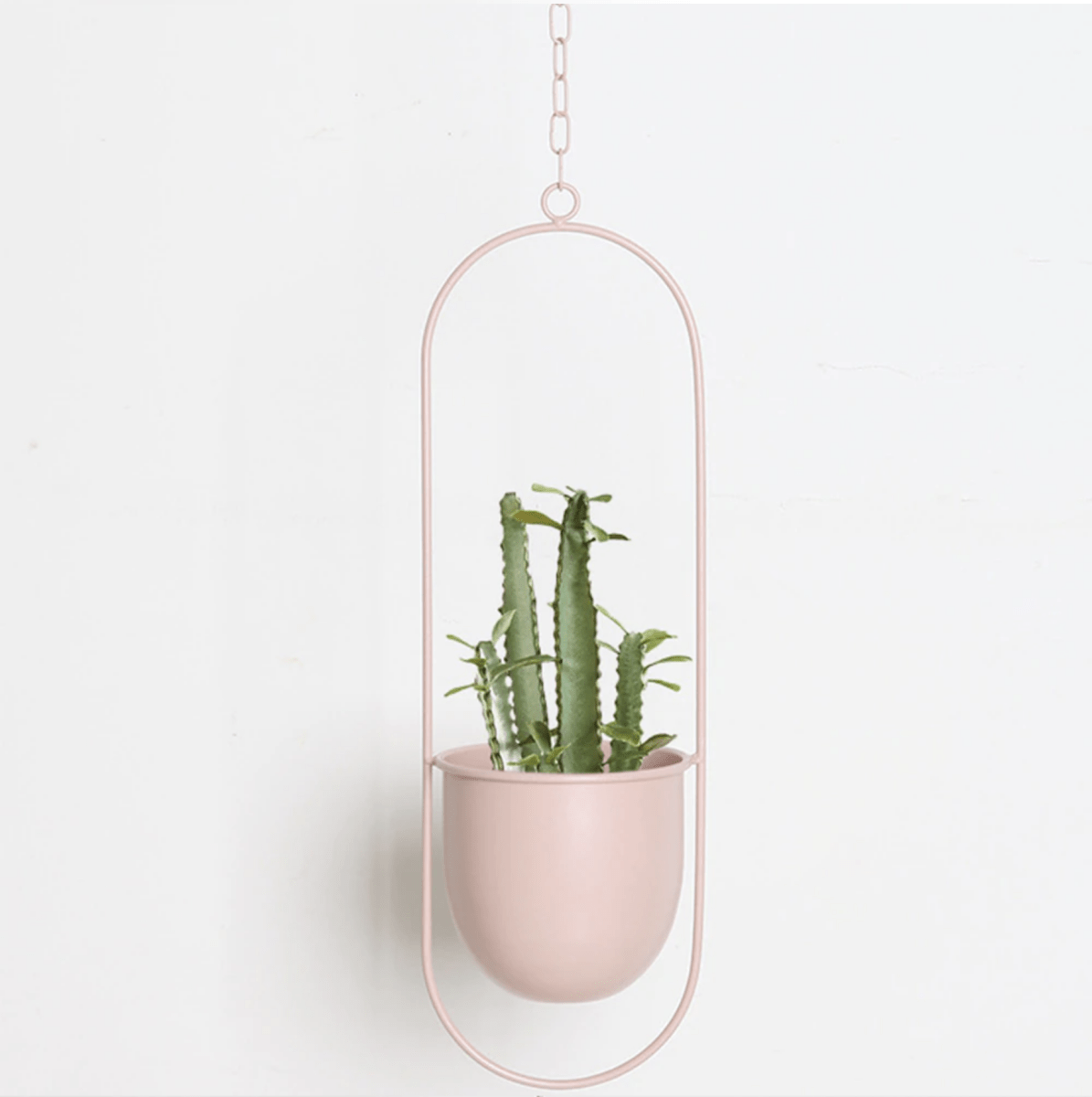 VERTILINE – Colgador de plantas de pared minimalista con cadena ajustable para un interior elegante y claro
