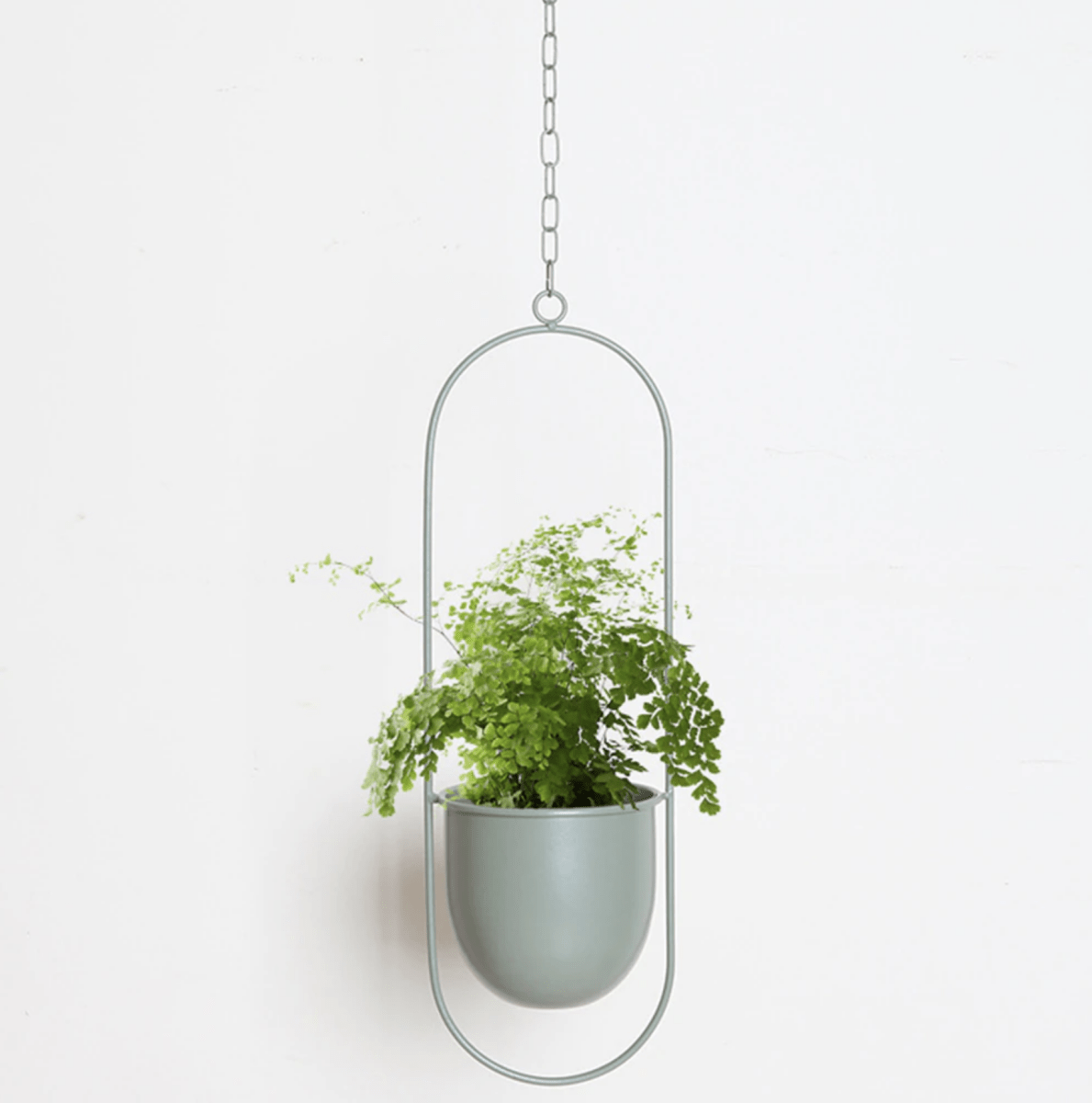 VERTILINE – Colgador de plantas de pared minimalista con cadena ajustable para un interior elegante y claro