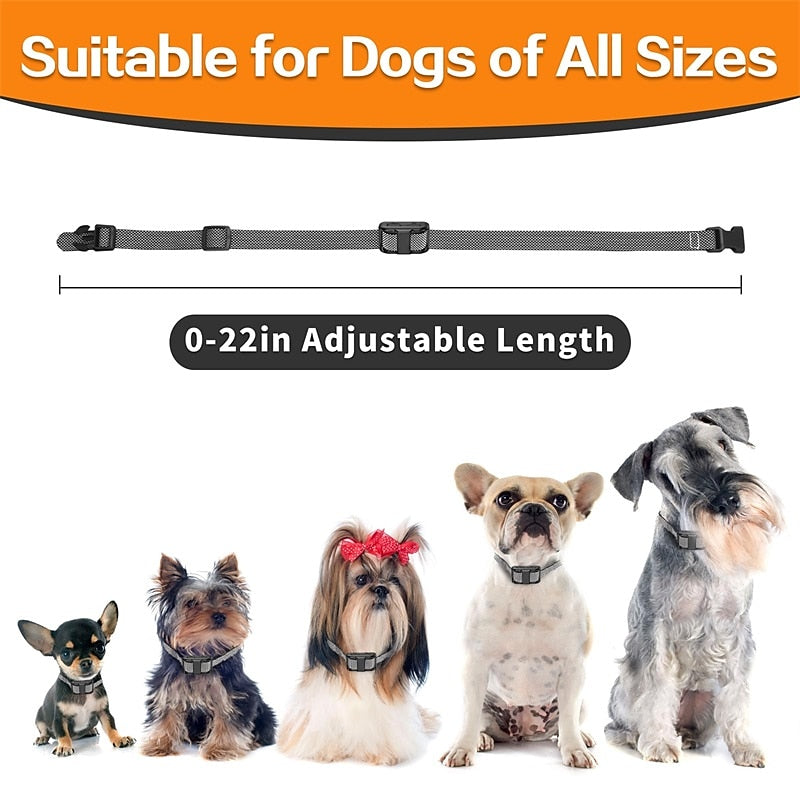 Collar de Entrenamiento para Perros Ligero e Impermeable - Alcance de 400m