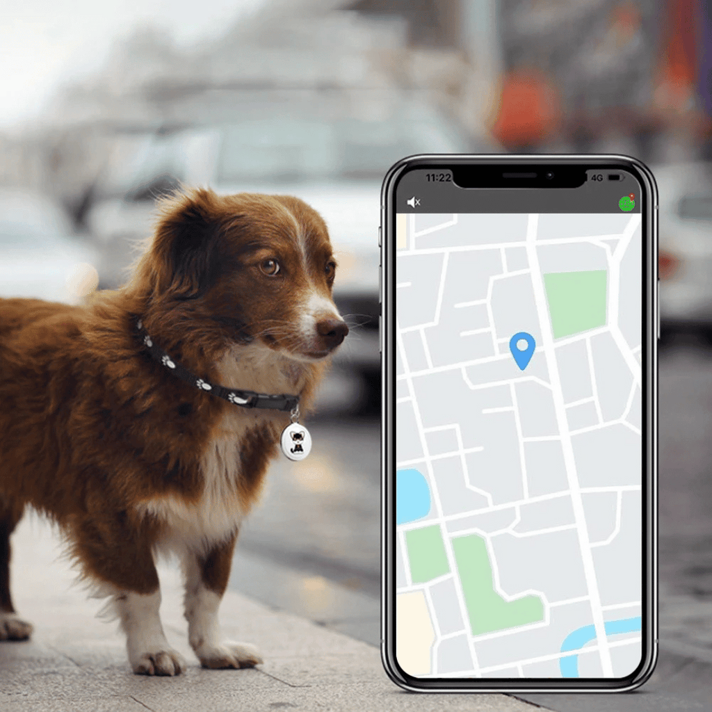 Localizador GPS para mascotas con función de seguimiento en tiempo real y alarma sonora – diseño a prueba de agua para perros y gatos