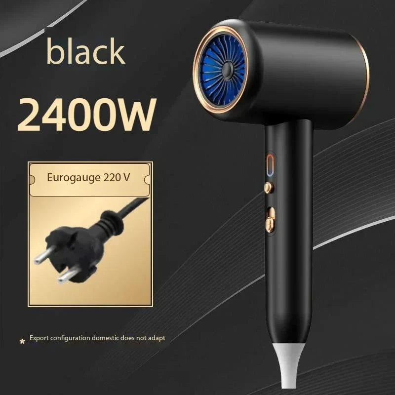 Secador de Pelo Profesional 2400W con Tecnología Iónica