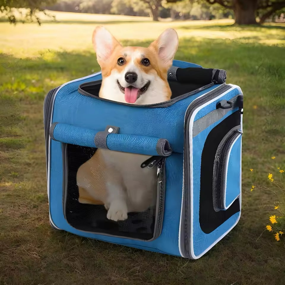 Cesta de Bicicleta Expandible para Mascotas – Cómoda y Segura para Perros y Gatos Pequeños