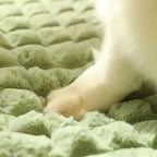 PAWSOMNIA Cama Ortopédica para Perros | Funda Desmontable y Lavable | Espuma Viscoelástica | Para Perros y Gatos