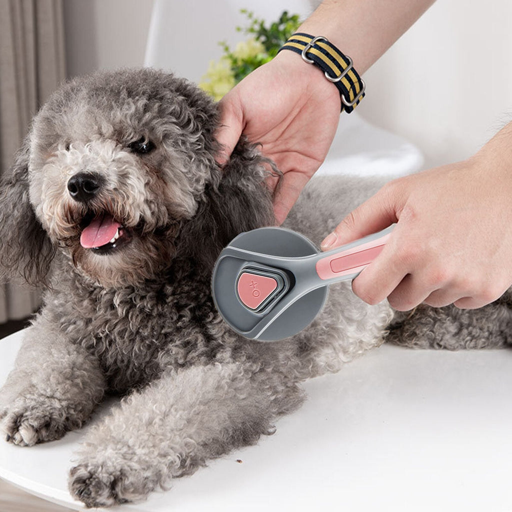 Cepillo autolimpiante para el cuidado de mascotas
