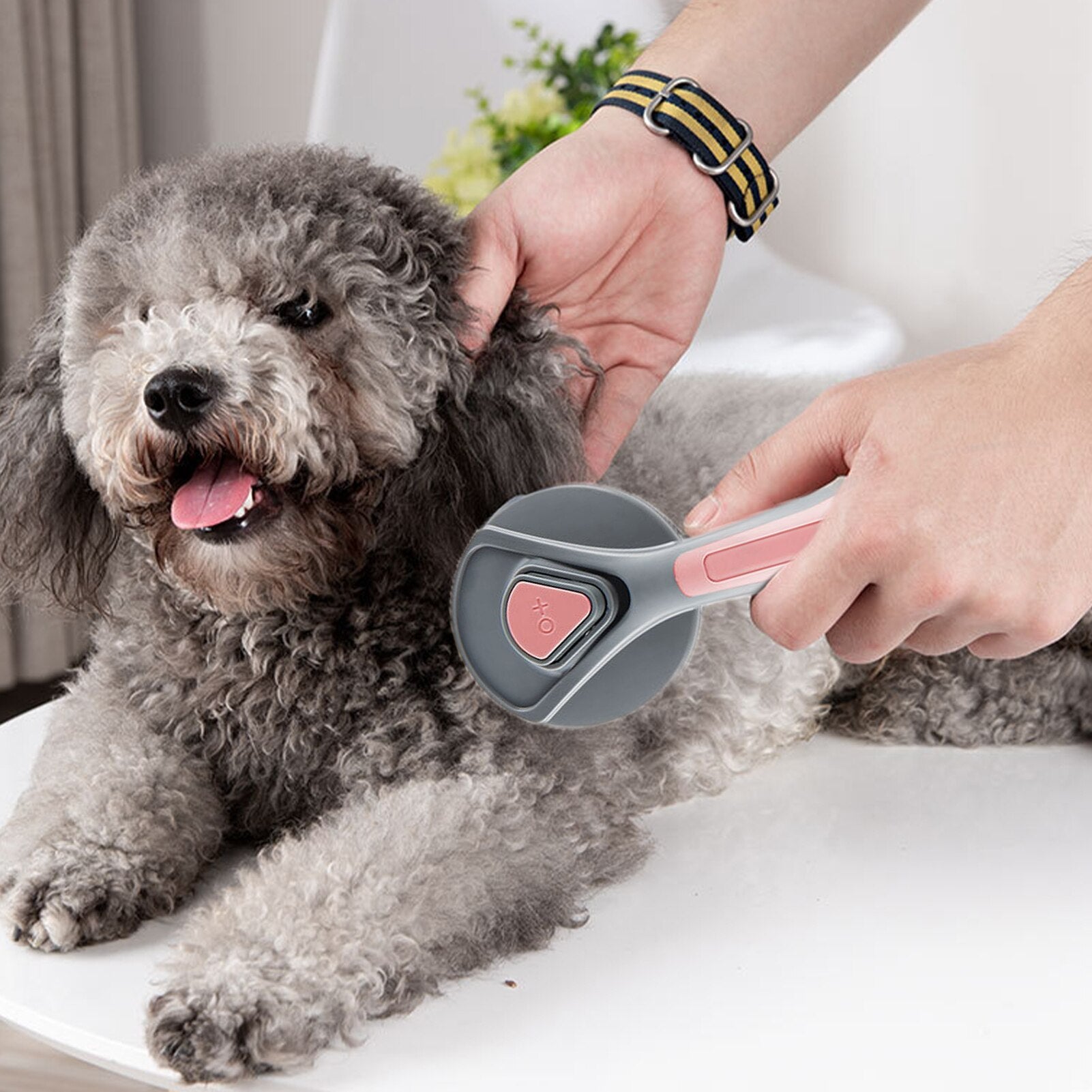 Cepillo autolimpiante para el cuidado de mascotas