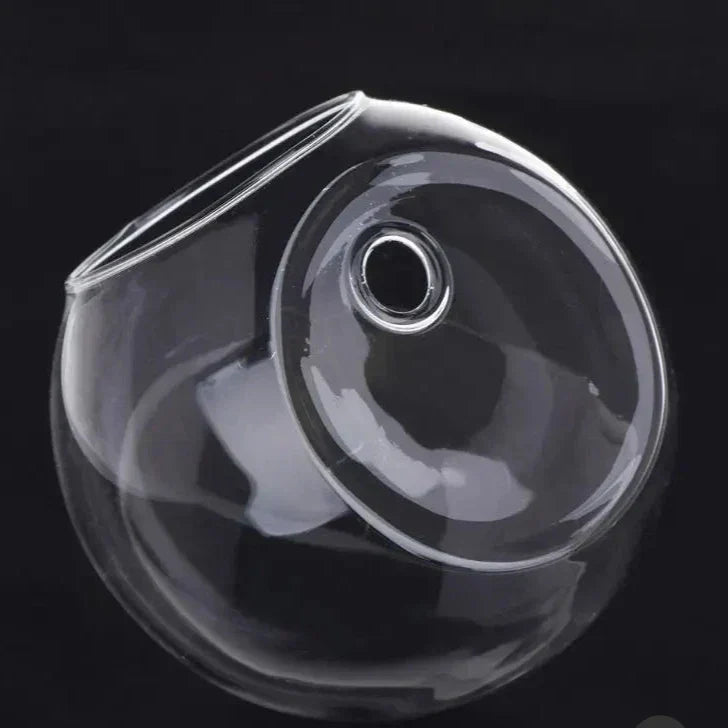 AirBloom Hydro Vase - Jarrón Hidrológico Colgante de Vidrio