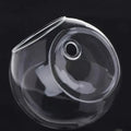 AirBloom Hydro Vase - Jarrón Hidrológico Colgante de Vidrio