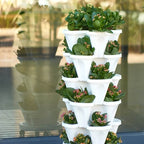 Macetas Apilables de Fresas