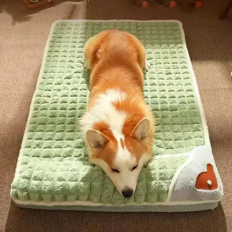 PAWSOMNIA Cama Ortopédica para Perros | Funda Desmontable y Lavable | Espuma Viscoelástica | Para Perros y Gatos
