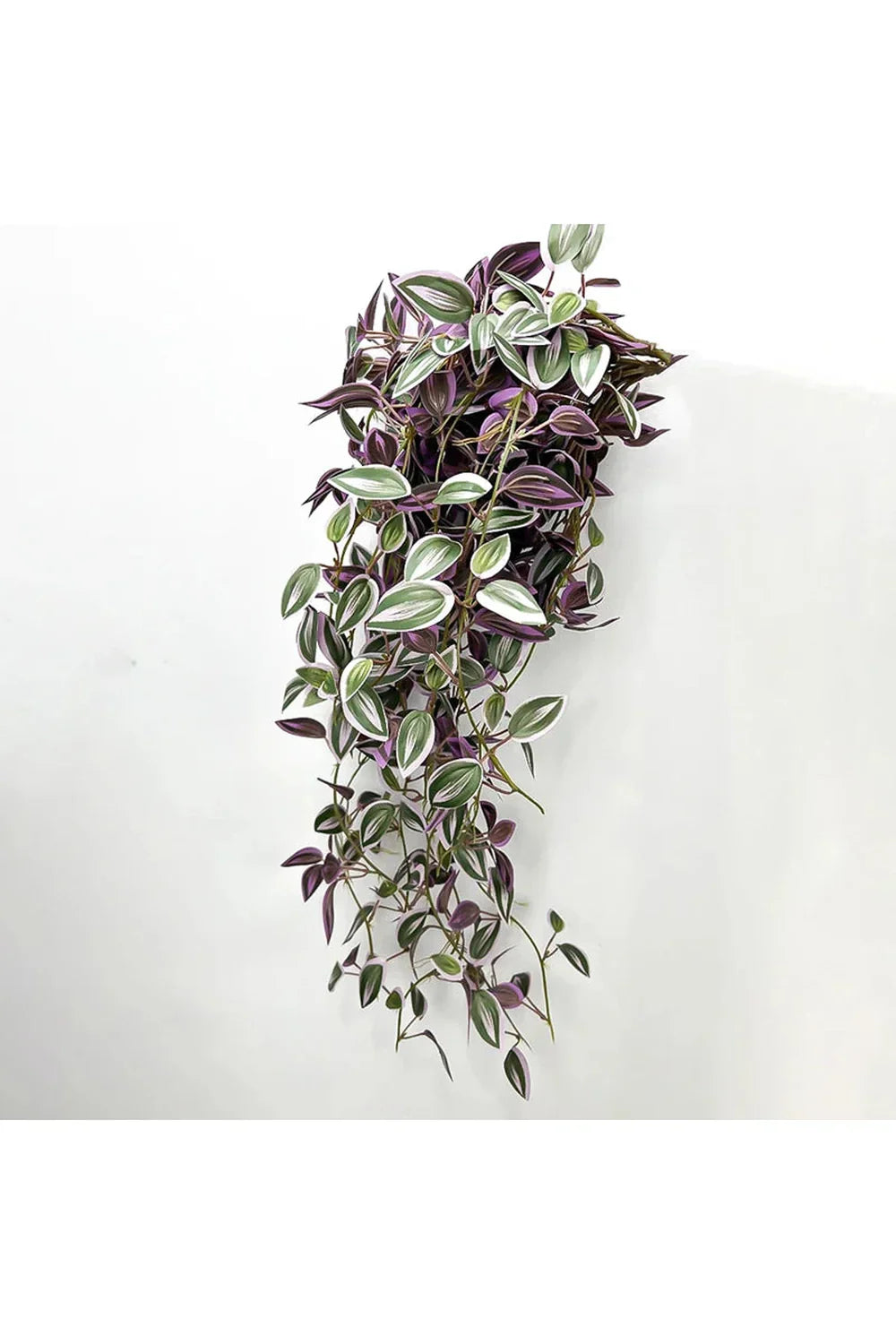 Lisslune | Plantas de Vid
