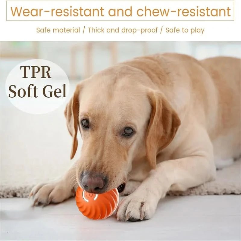PLAYPET Pelota Interactiva para Perros – Pelota Rebotadora Recargable