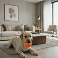 PLAYPET Pelota Interactiva para Perros – Pelota Rebotadora Recargable