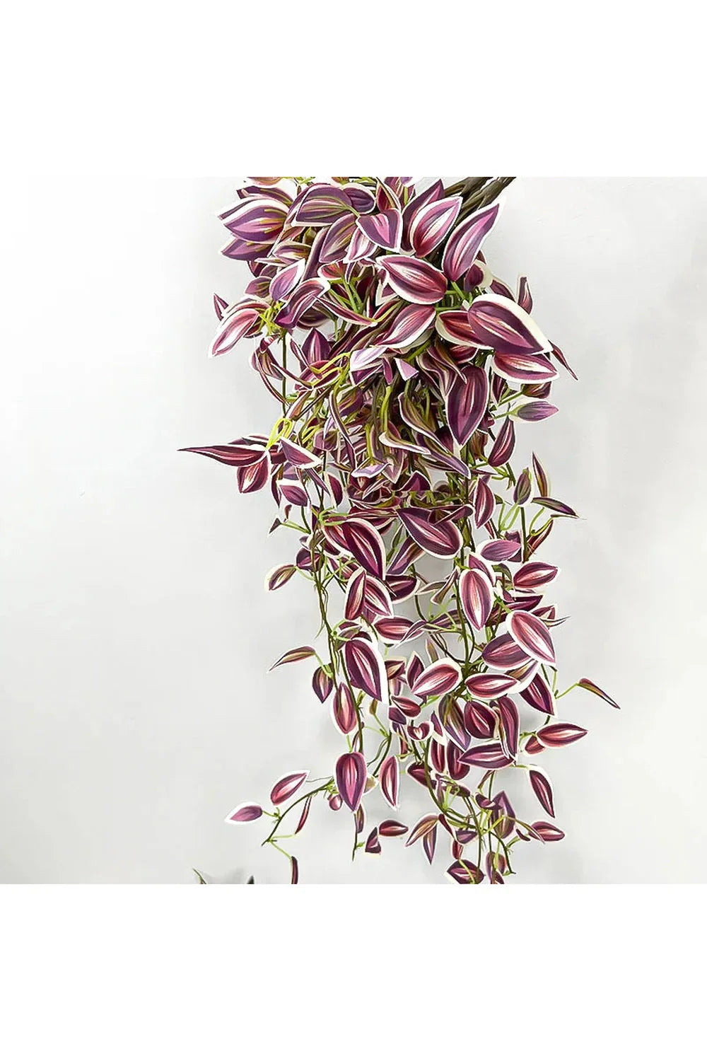 Lisslune | Plantas de Vid
